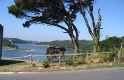 Camping Le Pin Parasol 4*