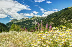 Camping Le Belledonne Bourg d'Oisans