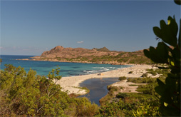 Camping La Liscia