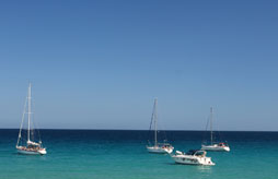 Camping Torraccia Camping Torraccia