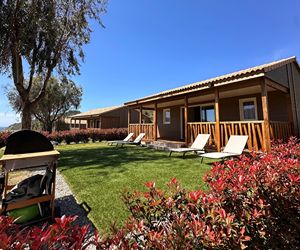 LES COLLINES DE LAVA