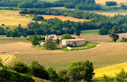 Mobile home rentals in Camping Saint-Louis La Roquette sur Siagne