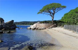 Mobile home rental Camping La Sposata